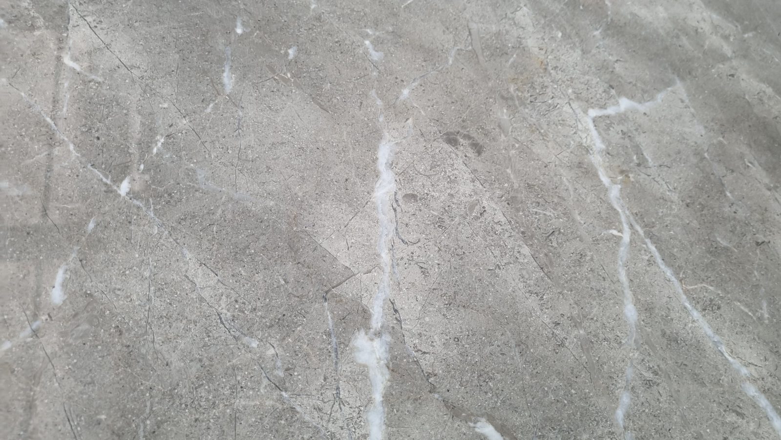 ELEGANT GRAY MARBLE
